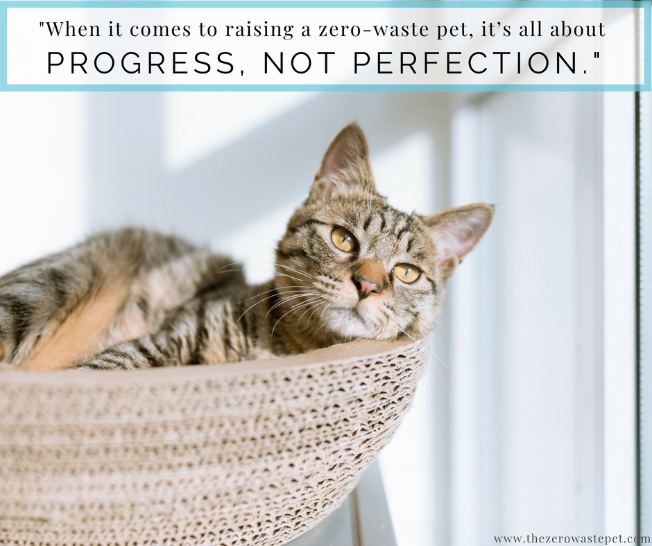 The Beginner's Guide to Zero-Waste Pet Care: Progress Not Perfection