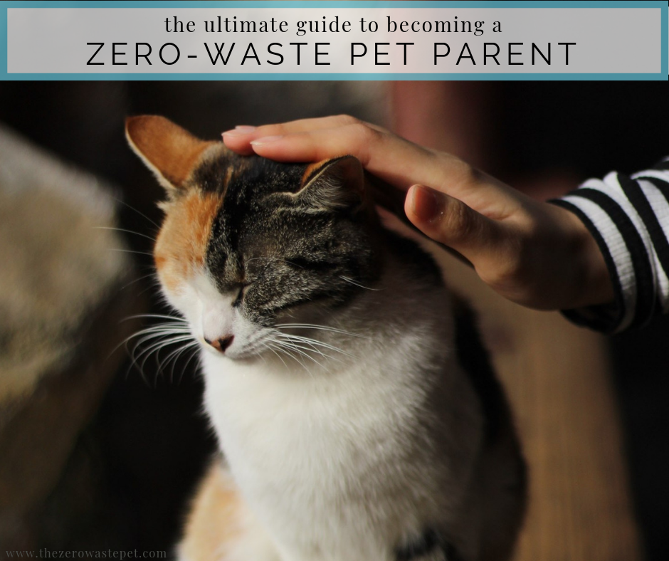 Becoming a Zero-Waste Pet Parent_ Everything you need to know to lessen your impact on the planet