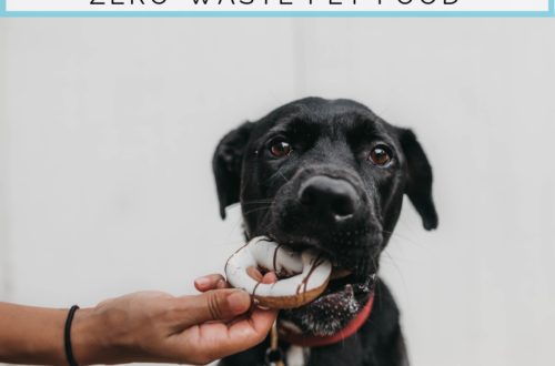 The Complete Guide to Zero-Waste Pet Food