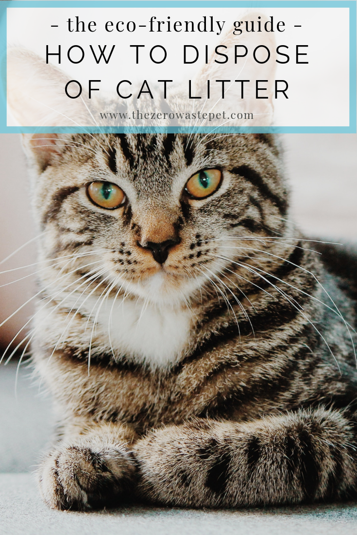 environmentally friendly cat litter bags