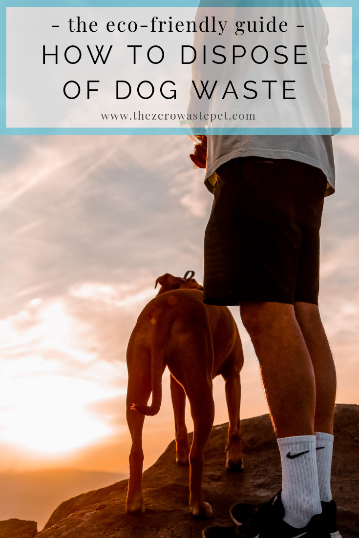 Pet Waste Removal Zionsville In